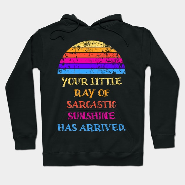 Your Little Ray Of Sarcastic Sunshine Has Arrived Hoodie by Emroonboy